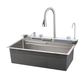 Pull-out Faucet Single Basin Kitchen Sink Unique Whale Waterfall for Household Vegetable and Washing Basin (Option: Style1)
